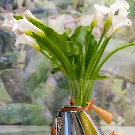 塞林特巴维斯奢华客房及公寓旅馆