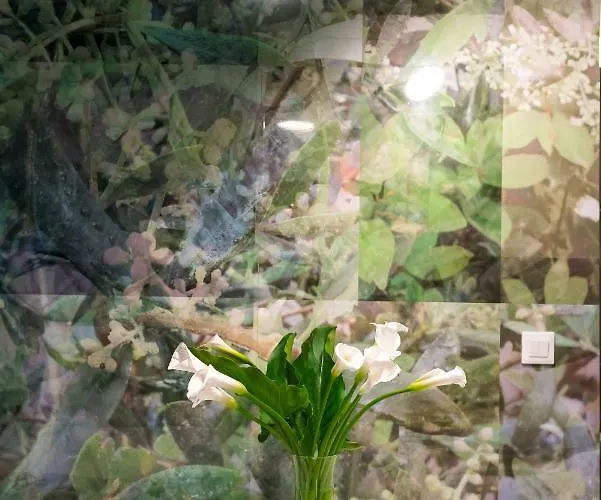 塞林特巴维斯奢华客房及公寓旅馆